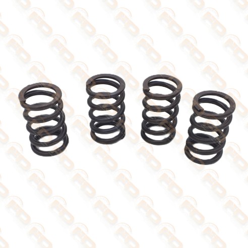 MOLLE VALVOLE RINFORZATE 500/126