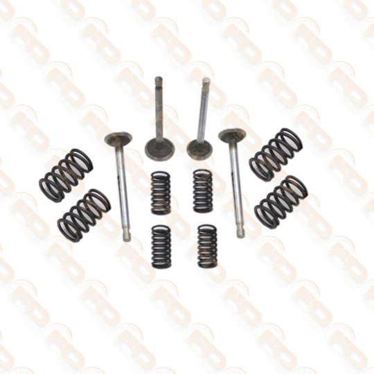 SET VALVOLE MAGGIORATE 34,5/30 E MOLLE VALVOLE 500 126